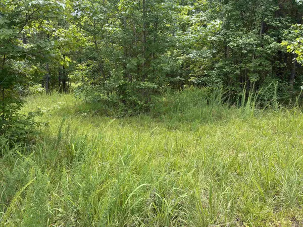 Lot 1 Corinth RD, Gaffney, SC 29340