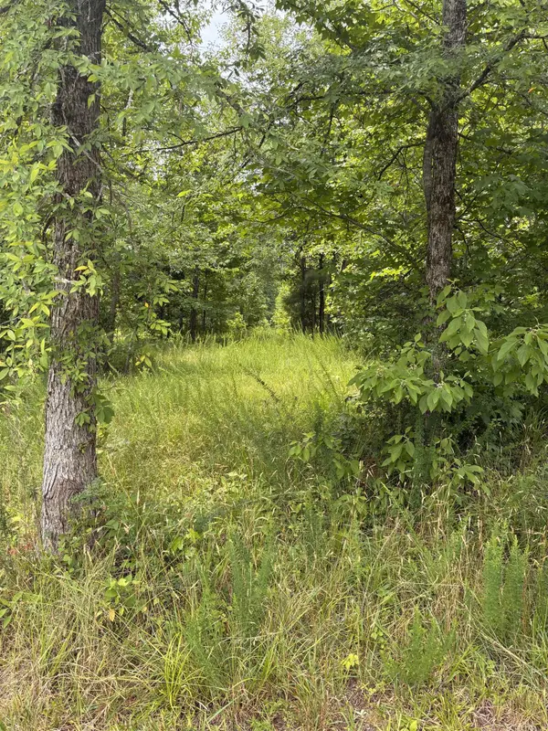 Lot 1 Corinth RD, Gaffney, SC 29340