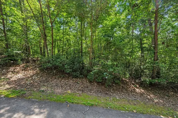 14 Alsace WAY, Travelers Rest, SC 29690