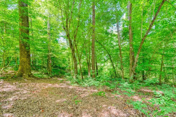 0 Long Branch RD, Enoree, SC 29335