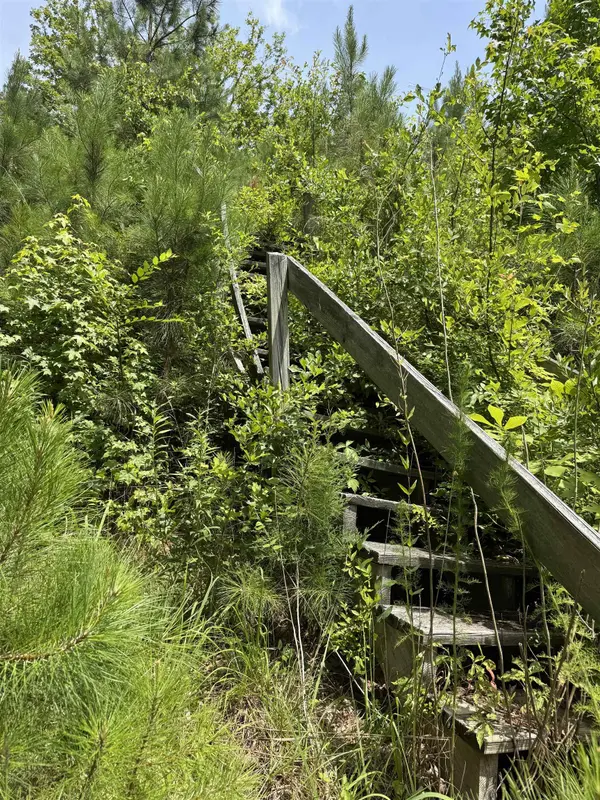 659 Dovefield RD, Cross Hill, SC 29332
