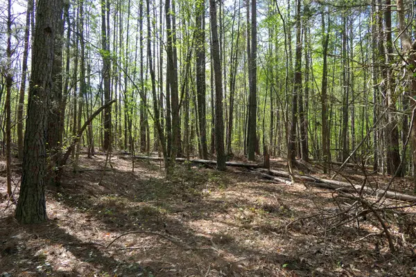 730 Browning Road, Enoree, SC 29335