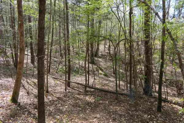 730 Browning Road, Enoree, SC 29335