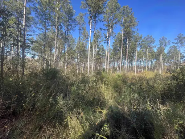 1944 Dr. John's RD, Westminster, SC 29693-0000