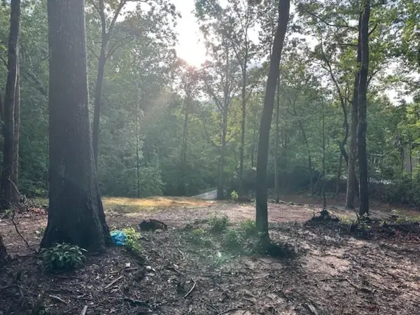 00 E LAKESHORE DR, Landrum, SC 29356