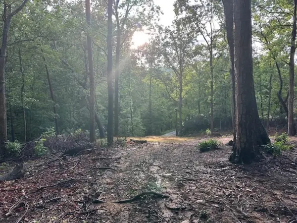 00 E LAKESHORE DR, Landrum, SC 29356