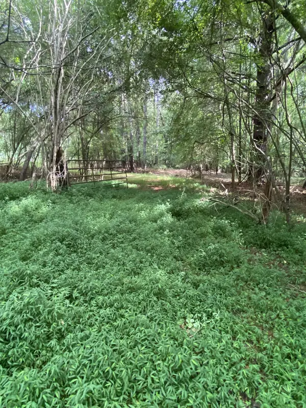 520 Groce RD, Spartanburg, SC 29302