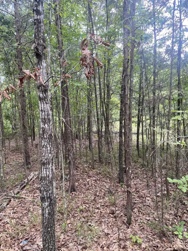 Mt Pleasant Church Rd HWY, Chester, SC 29706