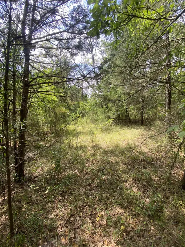 Mt Pleasant Church Rd HWY, Chester, SC 29706