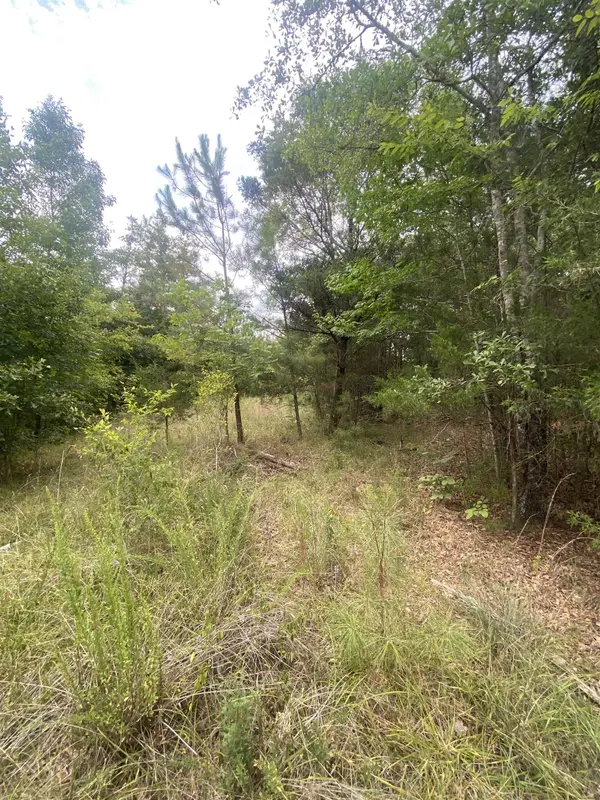 Mt Pleasant Church Rd HWY, Chester, SC 29706