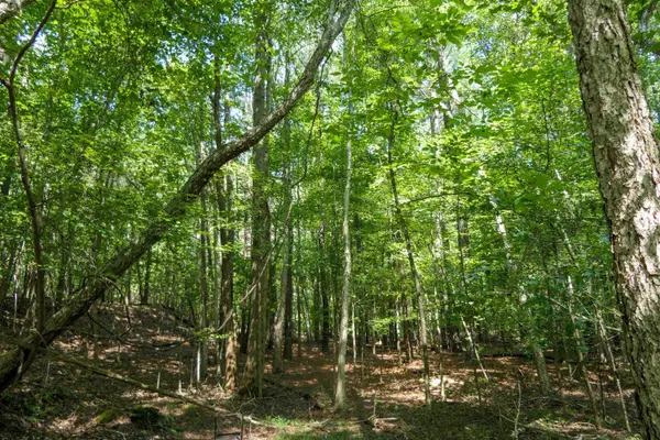 116 Meansville, Union, SC 29379