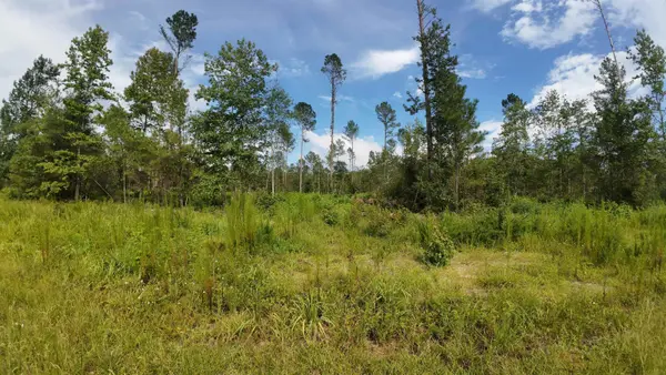 00 Lowcountry HWY, Smoaks, SC 29481