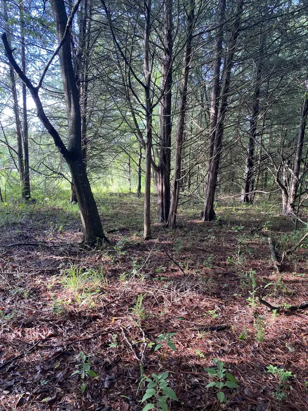 0 Mount Shoals RD, Enoree, SC 29335