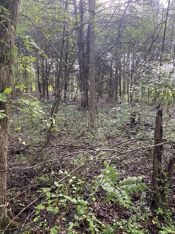 0 Mount Shoals RD, Enoree, SC 29335