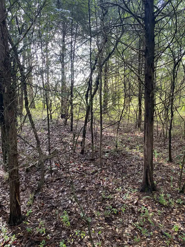 0 Mount Shoals RD, Enoree, SC 29335