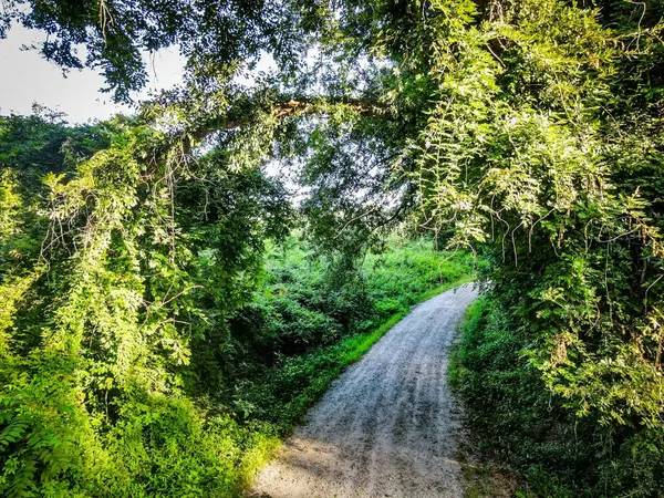 0 Gene Fleming RD, Iva, SC 29655