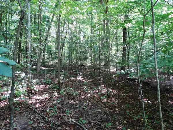 76 Tanyard RD, Greenville, SC 29609