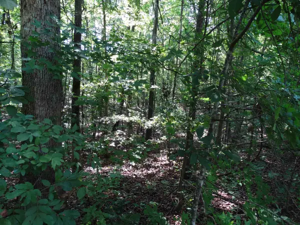 76 Tanyard RD, Greenville, SC 29609