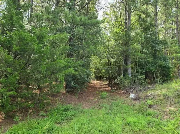 00 Shrine Club RD, Waterloo, SC 29384