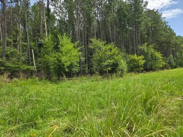 00 Shrine Club RD, Waterloo, SC 29384