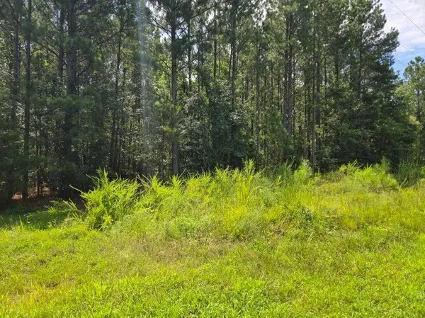 00 Shrine Club RD, Waterloo, SC 29384