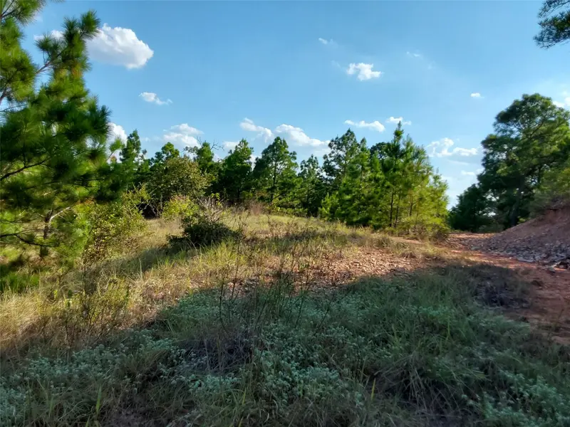 909 Hana Court ST, Bastrop, TX 78602