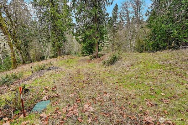376 Beach DR, Quilcene, WA 98376