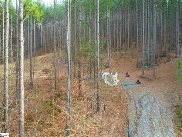 0 Pine Needle LN, Bostic, NC 28018