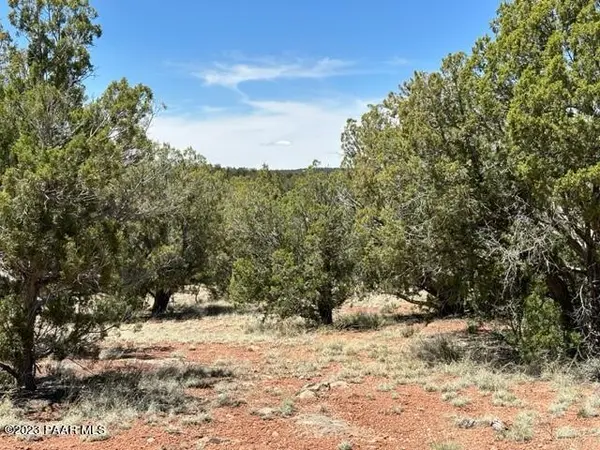 57482 N Hermana LN, Seligman, AZ 86337