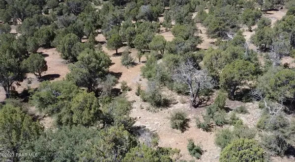 6317 Gardenia LN, Show Low, AZ 85901