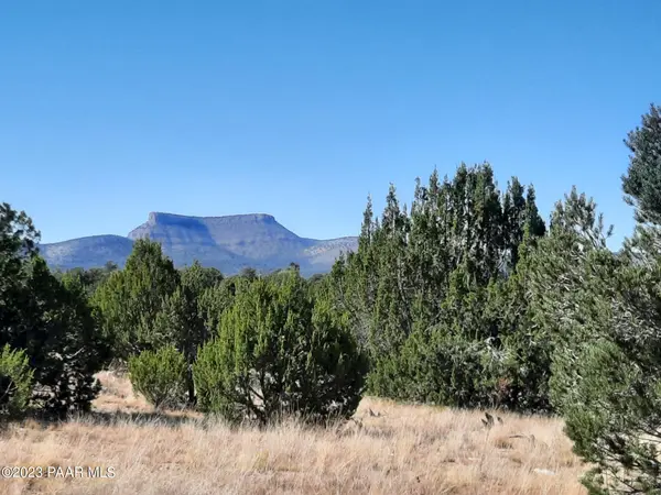 Lot 768 N Pistol Pl,  Seligman,  AZ 86337
