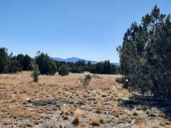 Lot 768 N Pistol Pl, Seligman, AZ 86337