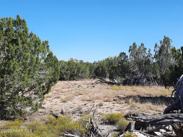 Lot 768 N Pistol Pl, Seligman, AZ 86337