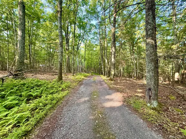 Marko DR, Yulan, NY 12528