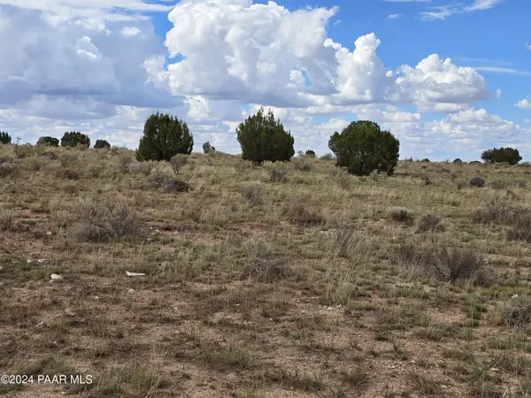 9524 W Shingle Oak LN Williams, AZ 86046