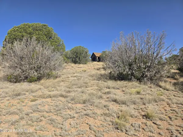 56516 Bridge Canyon Pkwy Seligman, AZ 86337