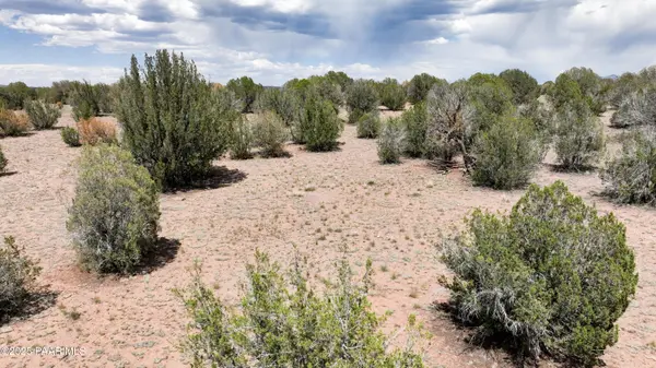 0 N Wagon Tree RD, Ash Fork, AZ 86320