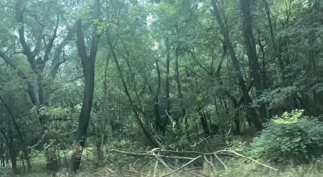 Address Not Disclosed