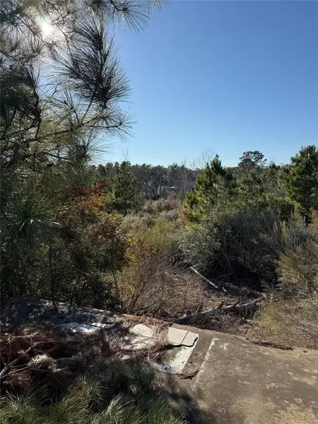Address Not Disclosed