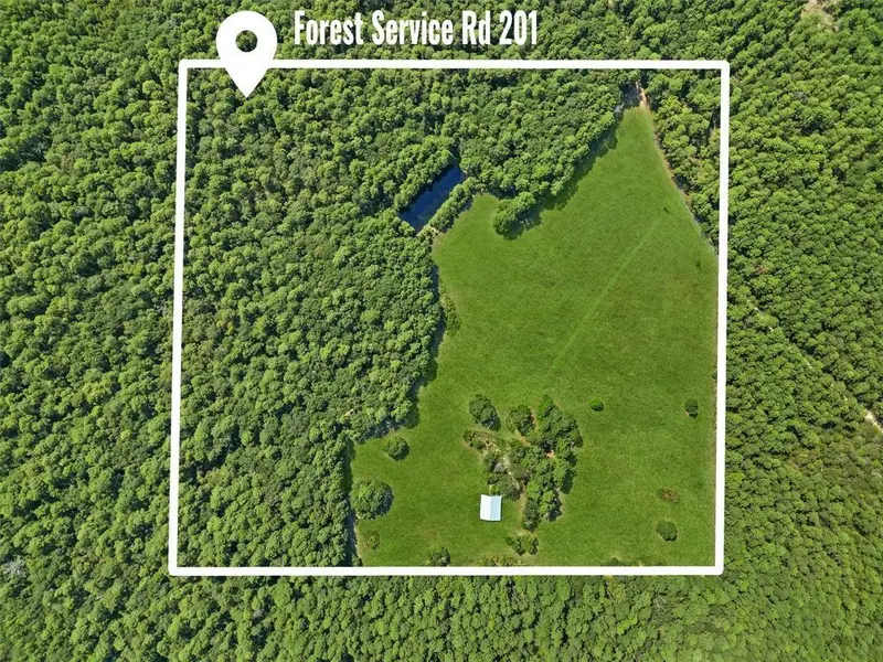 00 Forest Service Road 201, Coldspring, TX 77328