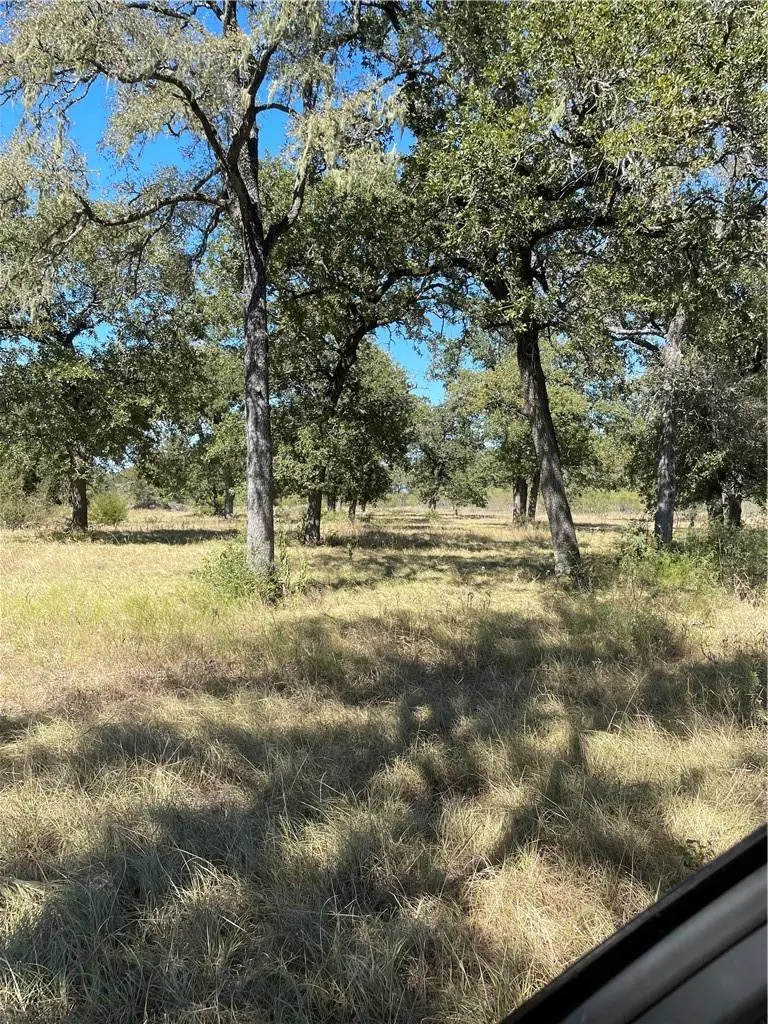 200 Hershal LN, Cedar Creek, TX 78612