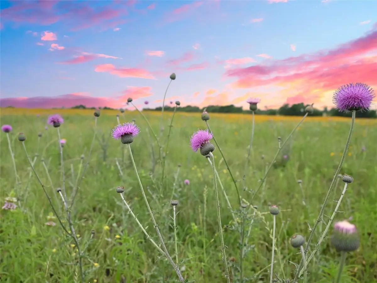 1515 County Road 315, Jarrell, TX 76537