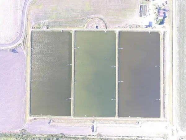 7979 Goyo Garcia RD, Raymondville, TX 78580