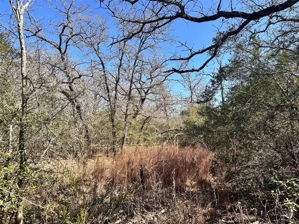 Address not disclosed, Waelder, TX 78959