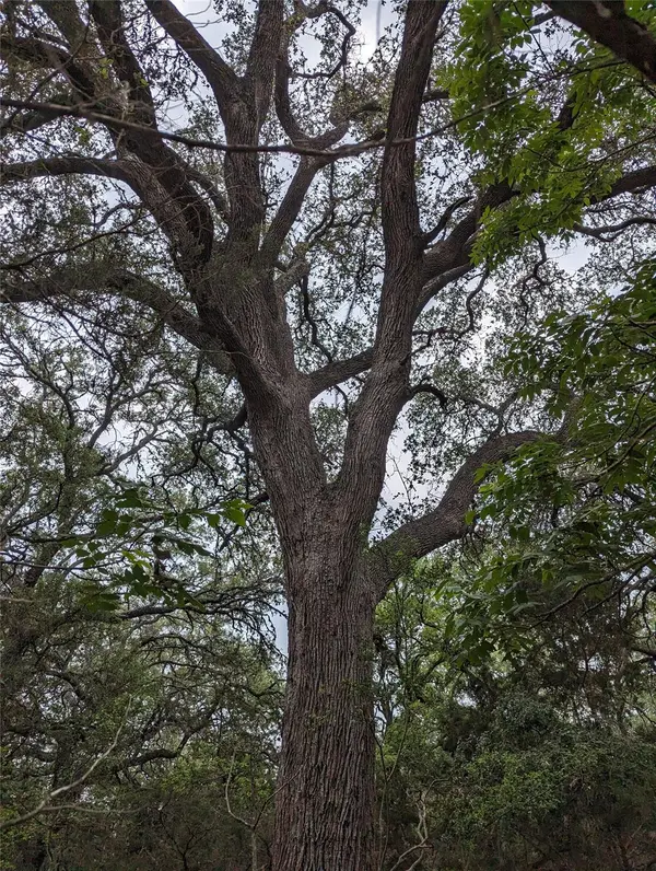 73 E Valley Spring RD, Wimberley, TX 78676