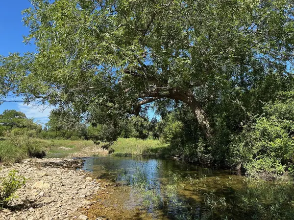 tbd County Road 330, Bertram, TX 78605