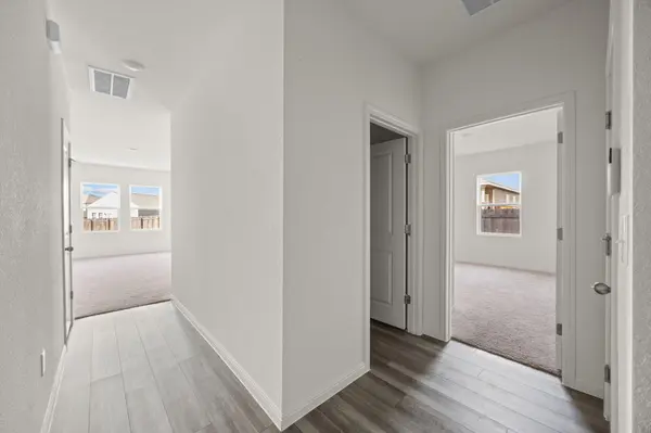 410 Magnum Force DR, Jarrell, TX 76537