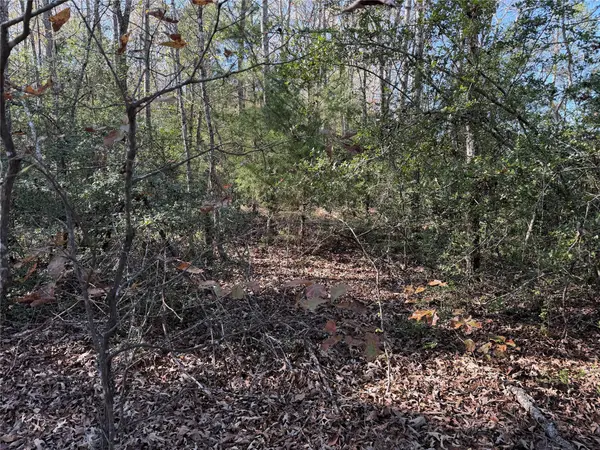 128 County Road 301 Tract 7, Fairfield, TX 75855