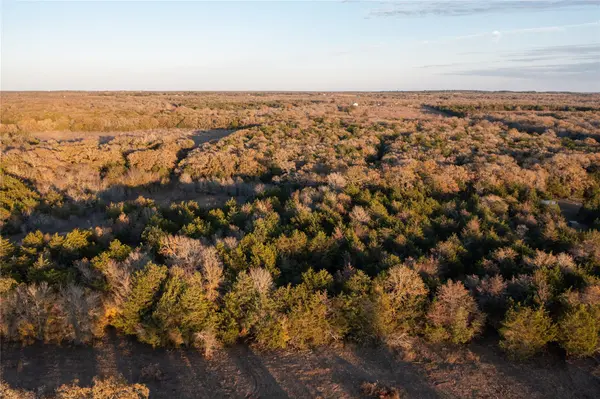 000 TBD 17+/- Ac Grassyville RD, Paige, TX 78659
