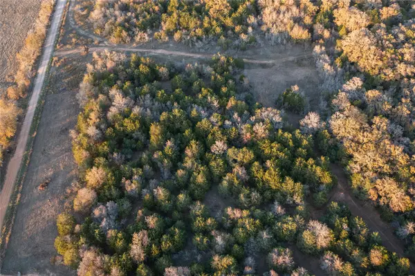 000 TBD 17+/- Ac Grassyville RD, Paige, TX 78659